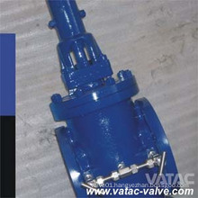 Cast Steel Flanged Ends Dbb Plug Valve